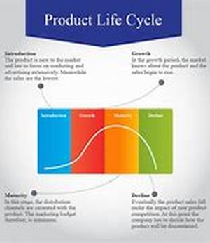 Understanding How SEO Works