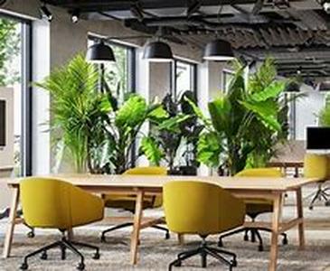 A Franchise Business - To Buy Or Not To Buy