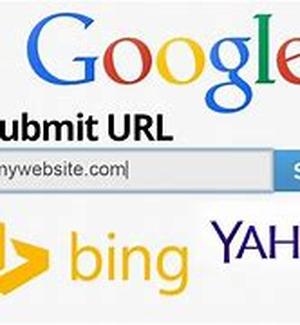 Search Engine Placement through SEO Services no fluke