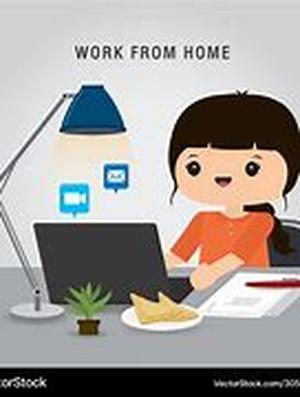 Online Web Conferencing