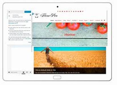 Blog And Roll