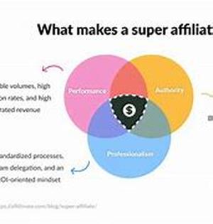 Why Some Websites Succeed