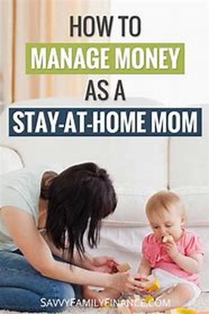 Stay at Home Moms:  Make Money Selling Software Programs