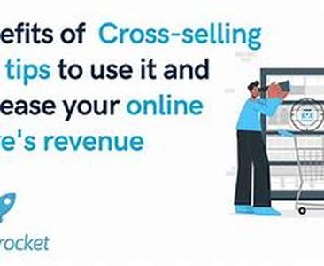 A Quick Look At Search Engine Optimization