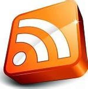 Maximum Website Promotion through PPC Bid Management