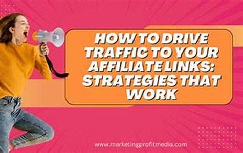 Tips For A Successful Directory Submission Campaign