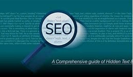 SEO- A Popularity Check