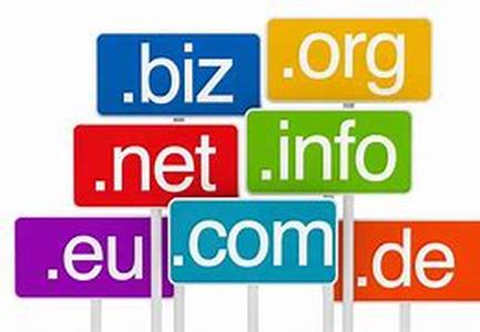 Domain Name Check