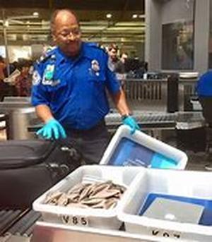 Traveling Luggage Case