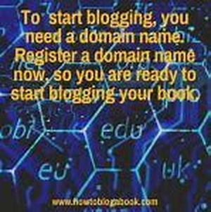 Domain Name Profits