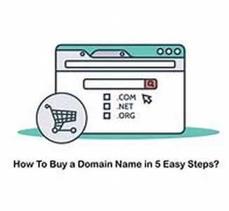 Lookup Domain Name
