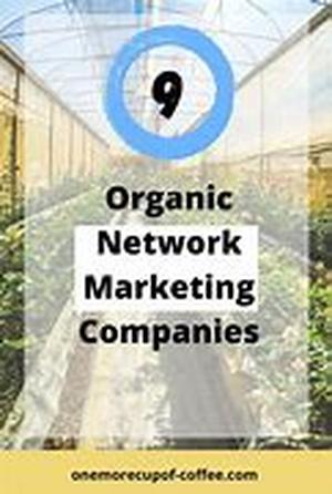 Ned the Newbie, The Once Frustrated And Somewhat Desperate Marketer Learns The Target Traffic Drawing Power Of Search Engine Optimization