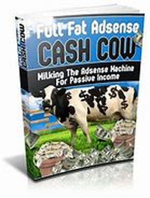 Adsense Tips To Help You Make More Money Online