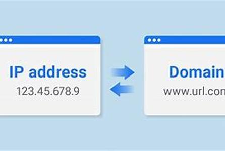 Who Owns Domain Names