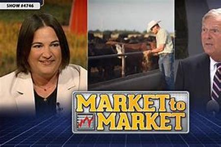 Marketing your website - Part 1 - Using articles, auctions, affiliates and auto responders