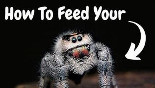 How To Ensure The Search Engines Find Your Website
