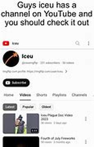 Youtube And Video Sharing