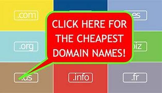 Domain Name Dispute