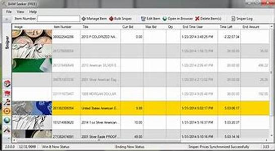 Auto Surf Programs Reviewed