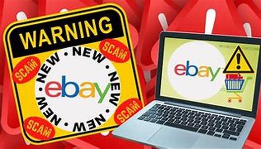 SafeHarbor; eBay's Own Scotland Yard