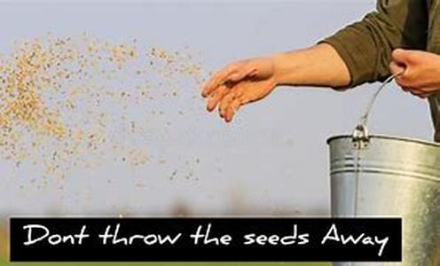 Don't Let Self Doubt Stop Your Dream Of A Home Based Business