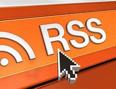 Potential Domain Investing Risks