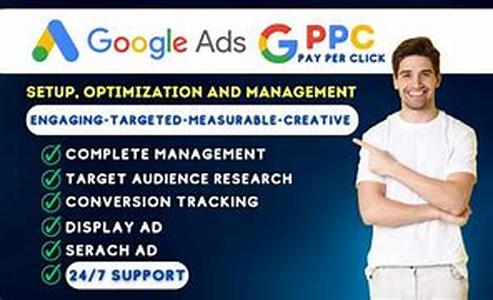 Managed Link Strategies - The PageBrin Effect