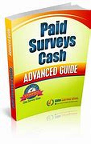 Paid Internet Surveys  What are they
