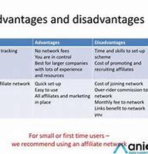 Advanced SEO Optimization Process