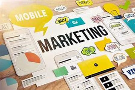 Website Hosting  Understanding Domains