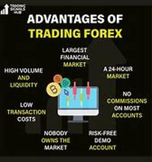 Forex Trading: Information that You Should Always Watch Out For