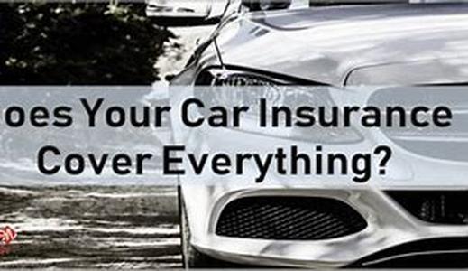 Compare Cruise Insurance  You often get what you pay for