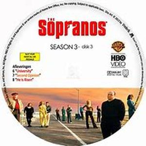 The Simpsons (Season 5) DVD Review