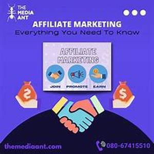 Affiliate Marketing Businesses VS Sole Ownership