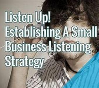 Small Business IT Consulting: The Micro Small Business Environment