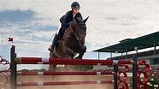 Equestrian Careers: How to Find the Right Path for You