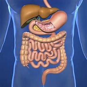 Diagnosis of Irritable Bowel Syndrome
