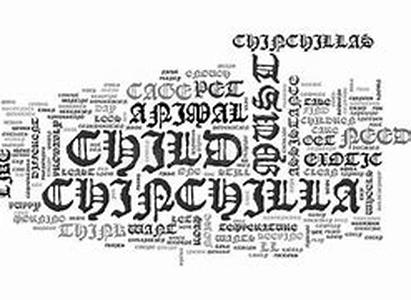 What Is A Paralegal