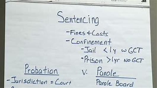 Experiencing The Parallels Between Victimology And Criminology