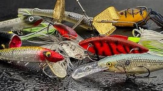 Basic Carp Fishing Pointers