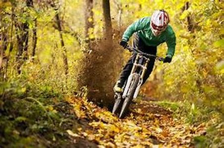 Know the Different Tamiya RC Cars