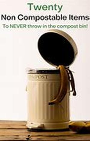 Seasonal Considerations for Composting