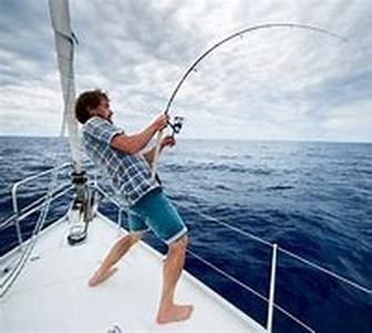 Tips to Know the Types of Fishing Rod to Acquire
