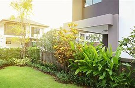 Where to find the best landscaping idea picture