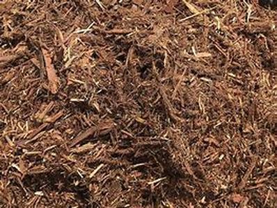 Termite Inspection Fraud