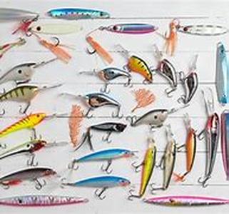 Learning how to Fish