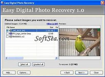 A Closer Look at Digital Photography