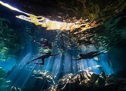 The Underwater World Captured With Photography