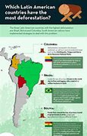 Deforestation: A Human Evil