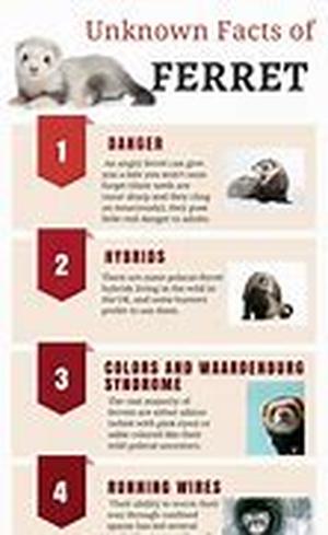 Alcoholism Disease And Alcoholism Physical Symptoms